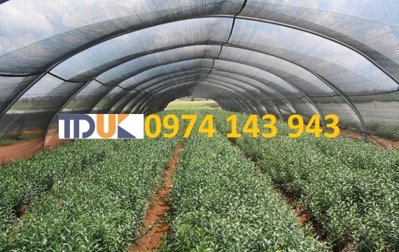 Lưới che nắng dệt kim sợi tròn uy tín giá rẻ tại TP HCM